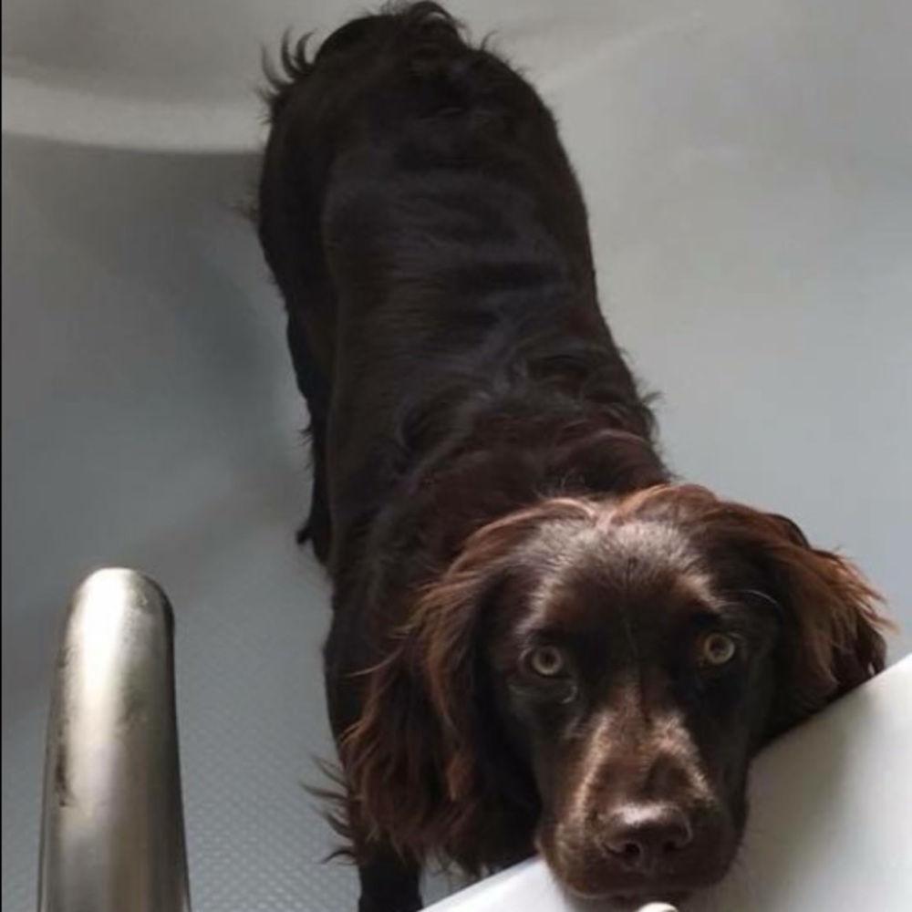 Meet your Posher, Madelyn